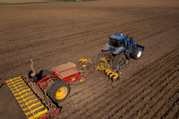 AD Maize drilling