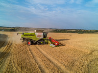 Barley Harvest
