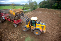 Sugar Beet loading