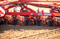 Sugar beet drilling